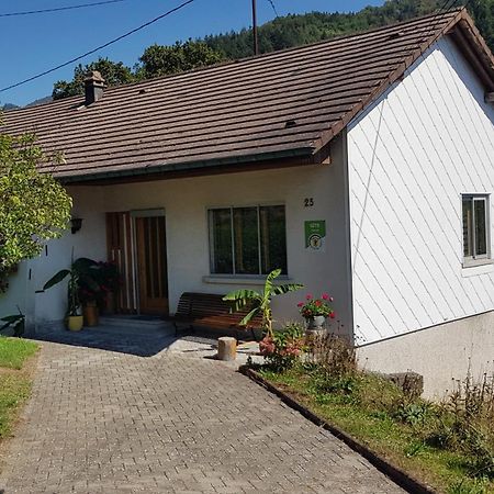 Villa Les Noyers Du Wissbach Willer-sur-Thur Esterno foto