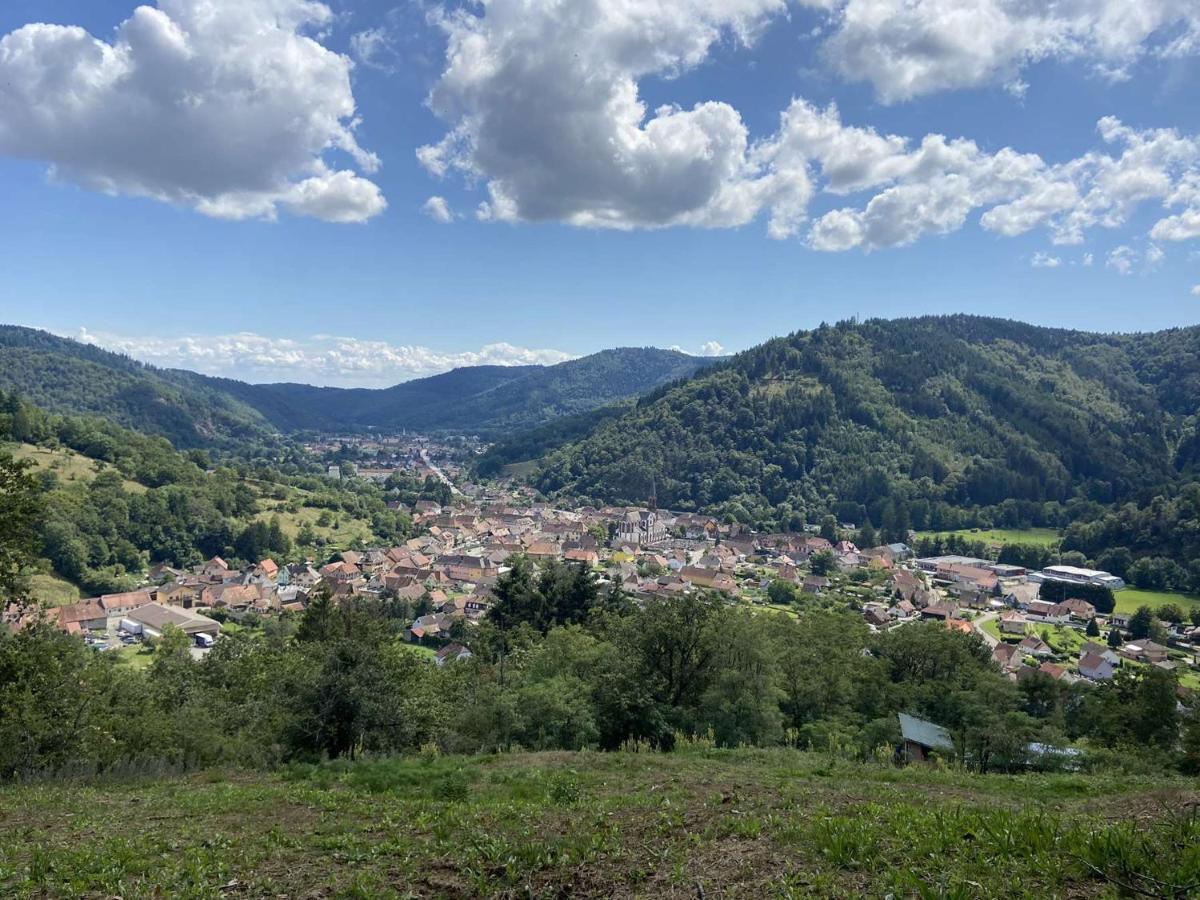 Villa Les Noyers Du Wissbach Willer-sur-Thur Esterno foto