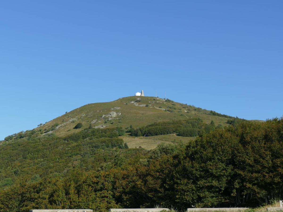 Villa Les Noyers Du Wissbach Willer-sur-Thur Esterno foto