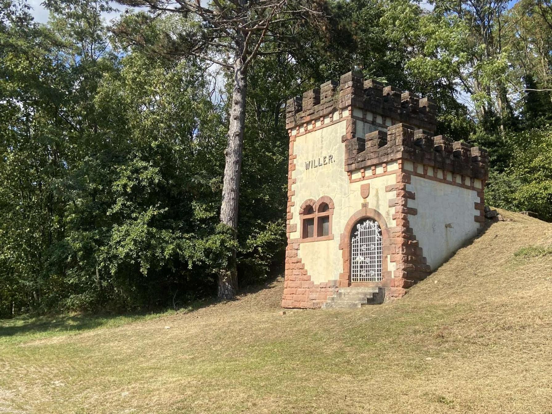 Villa Les Noyers Du Wissbach Willer-sur-Thur Esterno foto