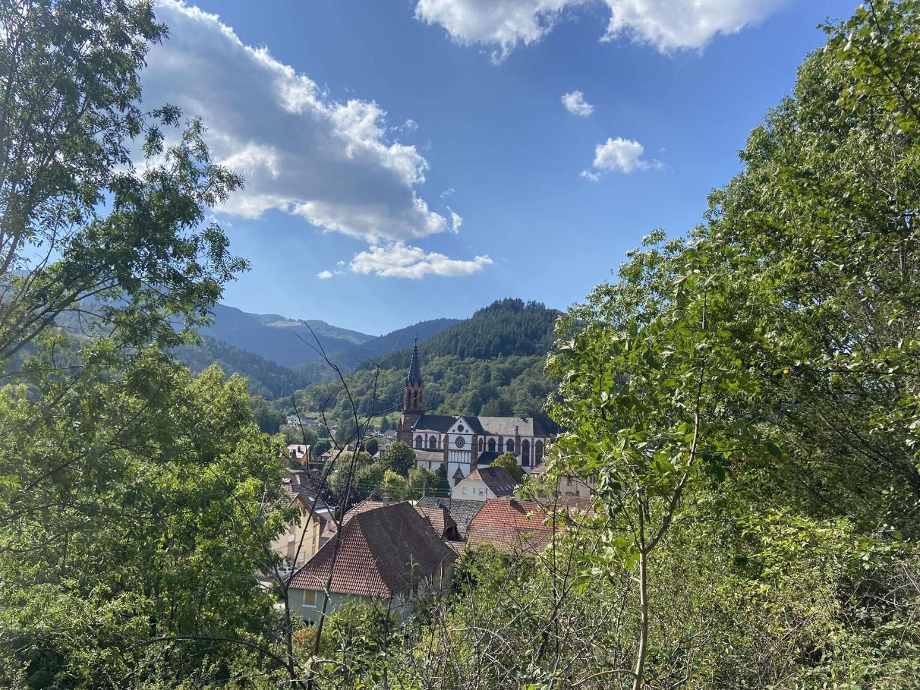 Villa Les Noyers Du Wissbach Willer-sur-Thur Esterno foto